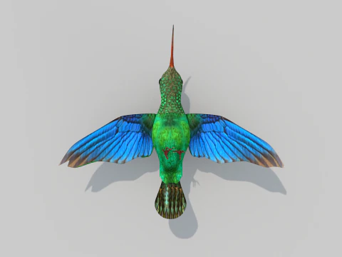 Beija-flor Dois Modelo 3D
