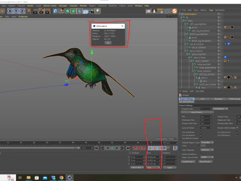 Beija-flor Dois Modelo 3D