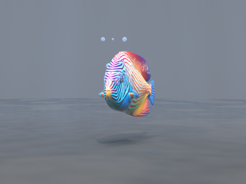 Marine Angelfish 3D-Modell