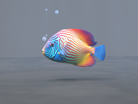 Marine Angelfish 3D-Modell