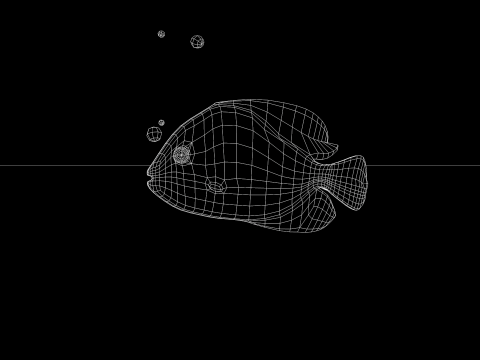Marine Angelfish 3D-Modell
