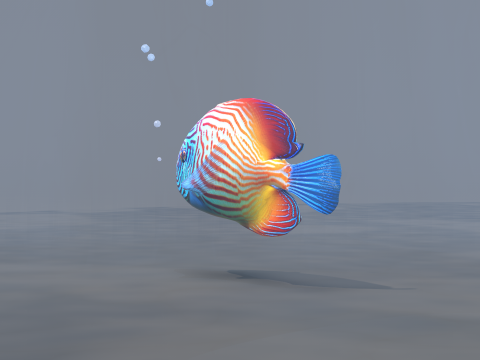 Marine Angelfish 3D-Modell