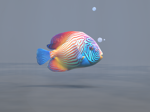 Marine Angelfish 3D-Modell
