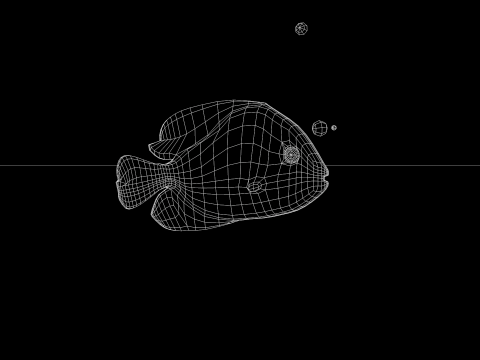 Marine Angelfish 3D-Modell