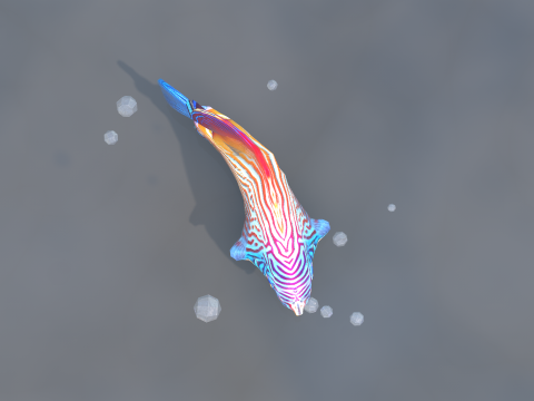 Marine Angelfish 3D-Modell