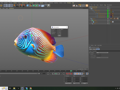 Marine Angelfish 3D-Modell