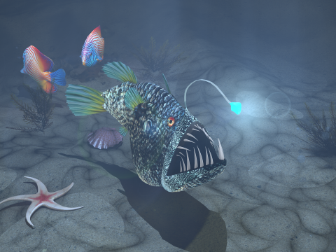 Lantern Fish Modello 3D