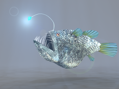 Lantern Fish Modello 3D
