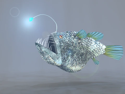 Lantern Fish 3D Model