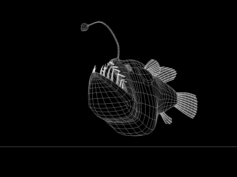 Lantern Fish 3D Model