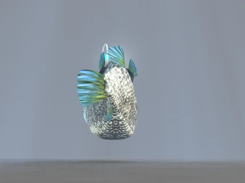 Lantern Fish 3D Model