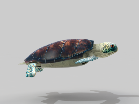 Sea Turtle 3D 模型