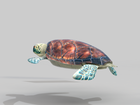 Sea Turtle 3D मॉडल