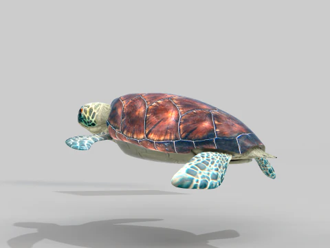 Sea Turtle 3D Model