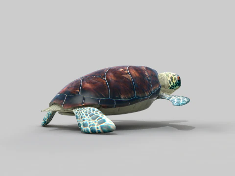 Sea Turtle 3D Model