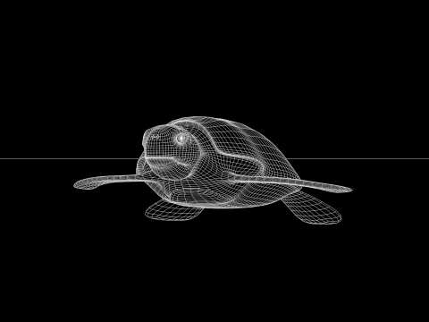 Sea Turtle 3D Model
