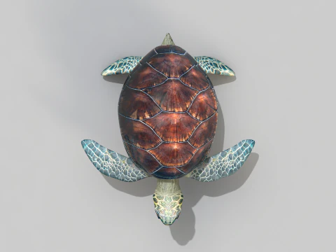 Sea Turtle 3D Model