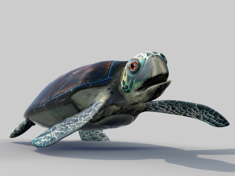 Sea Turtle 3D मॉडल