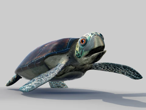 Sea Turtle 3D Model