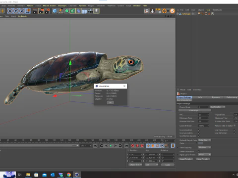 Sea Turtle 3D Model