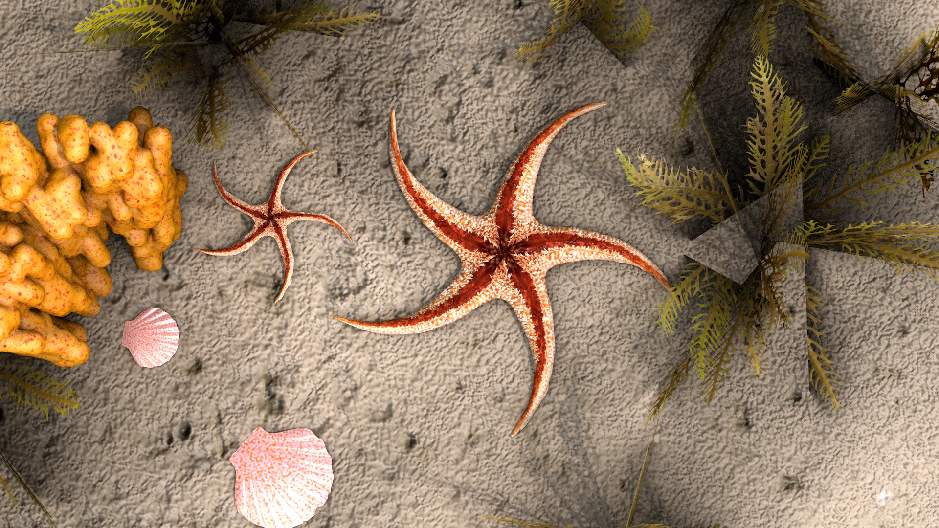 Starfish Tree 3D Model .c4d .max .obj .3ds .fbx .stl .blend 