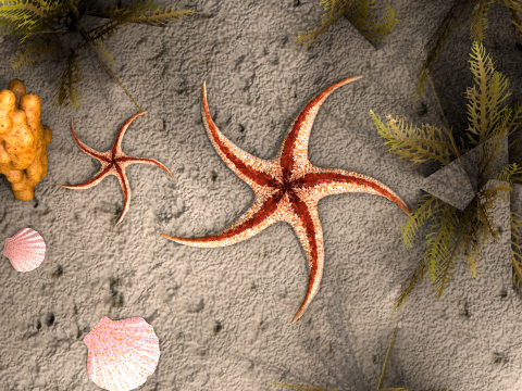 Starfish Tree 3D Model