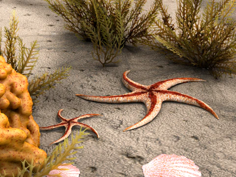 Starfish Tree 3D Model