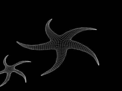 Starfish Tree 3Dモデル