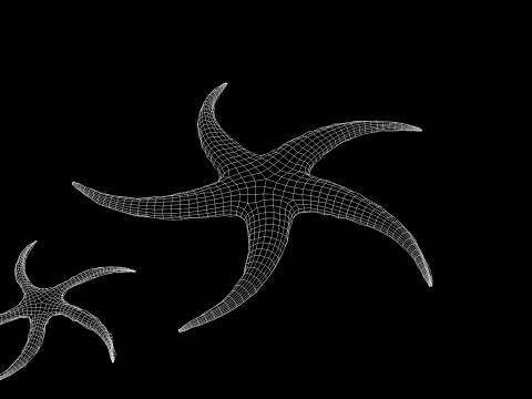 Starfish Tree 3D Model