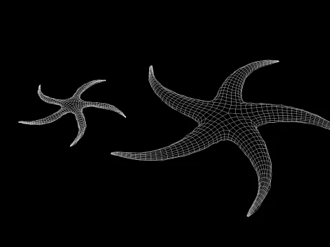 Starfish Tree 3D Model