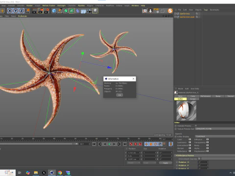 Starfish Tree 3D Model