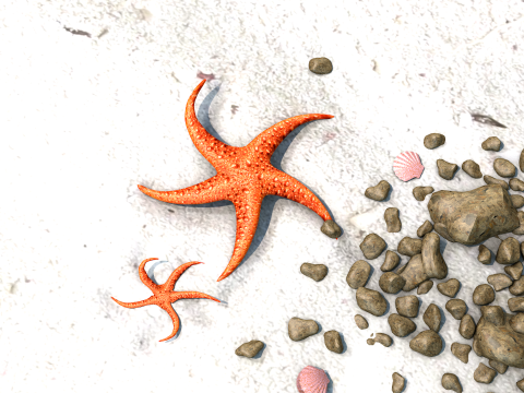Starfish Two 3D Model