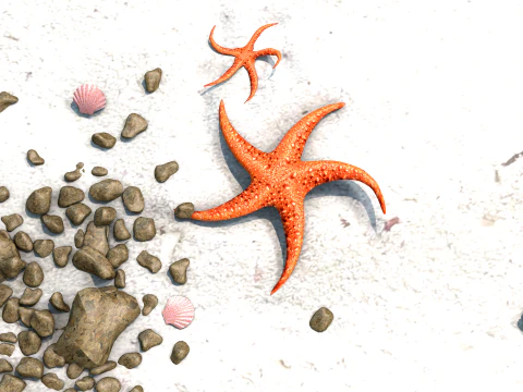 Starfish Two 3D Model