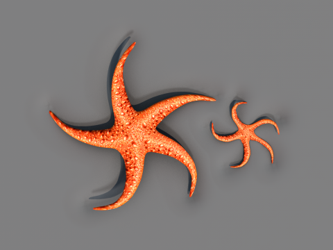 Starfish Two 3D Model