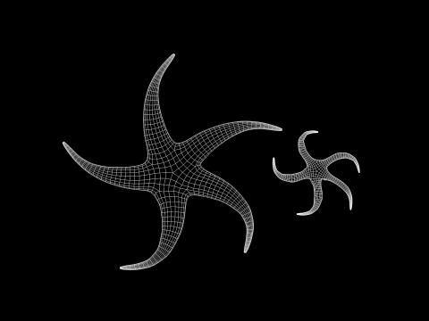 Starfish Two 3D Model