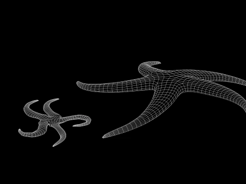 Starfish Two 3D Model