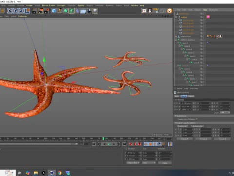 Starfish Two 3D Model