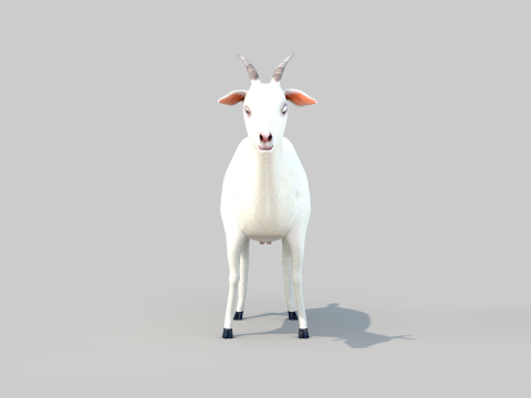 White Goat Two 3D Модель