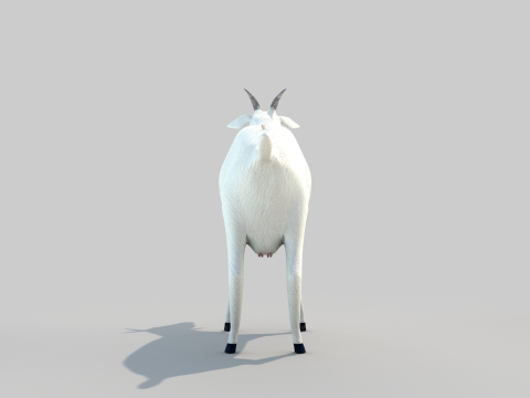 White Goat Two 3D Модель