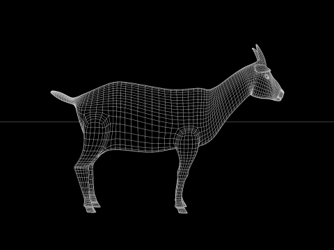 White Goat Two 3D Модель