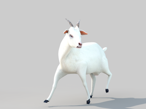 White Goat Two 3D Модель