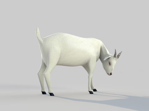 White Goat Two 3D Модель