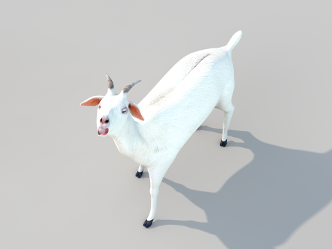 White Goat Two 3D Модель