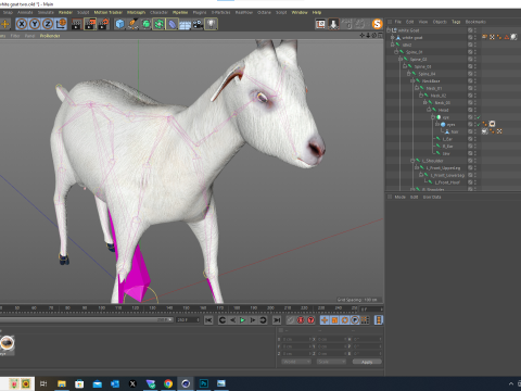 White Goat Two 3D Модель