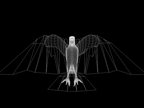 Ak Başlı Kartal 3D Model