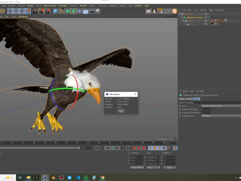 Ak Başlı Kartal 3D Model