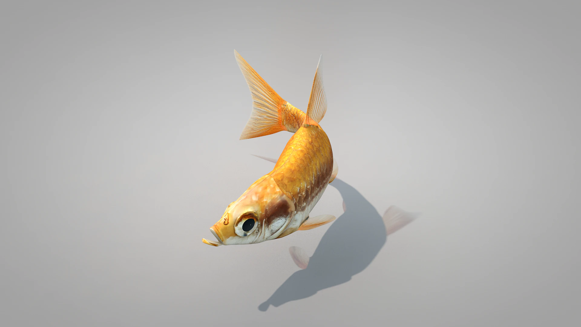 Fish Dourado 3D Model .c4d .max .obj .3ds .fbx .stl .blend 