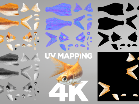 Fish Dourado 3D 模型