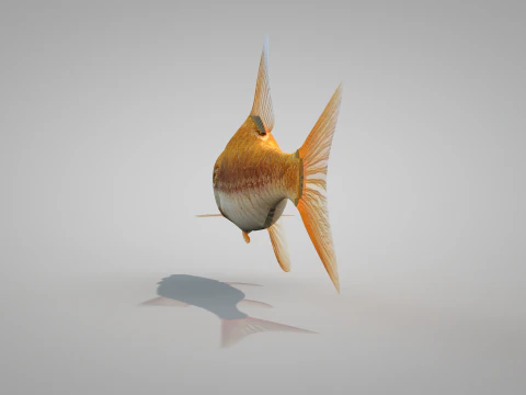 Fish Dourado 3D Model