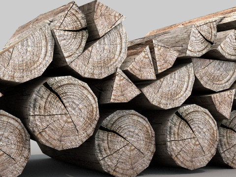 Firewood Nature 3D Model